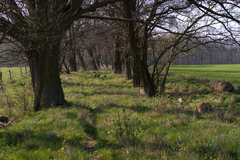 Ostern in der Uckermark 07