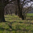 Ostern in der Uckermark 07