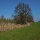 Ostern in der Uckermark 08