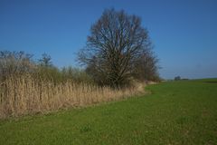 Ostern in der Uckermark 08