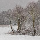 Ostern in der Uckermark