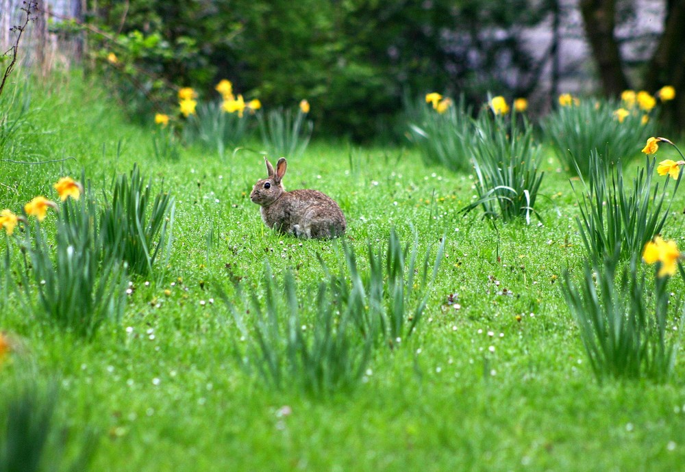 ostern in frankfurt (6 uhr früh)......