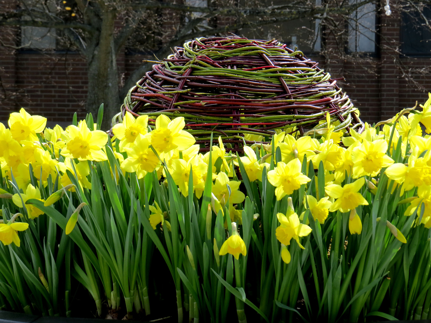 Ostern in Norrköping/Schweden