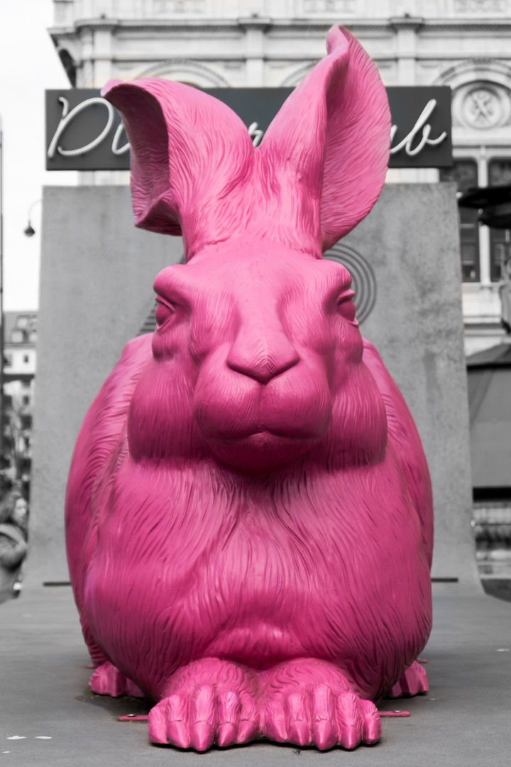 Ostern in Pink! 