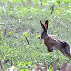 Ostern in Sicht