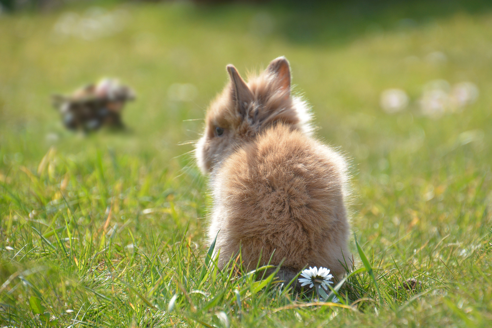 Ostern in Sicht