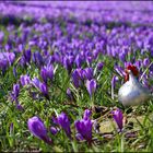 Ostern in Sicht