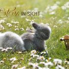 Ostern in Sicht