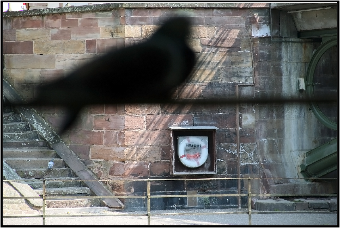 Ostern in Straßburg 2...