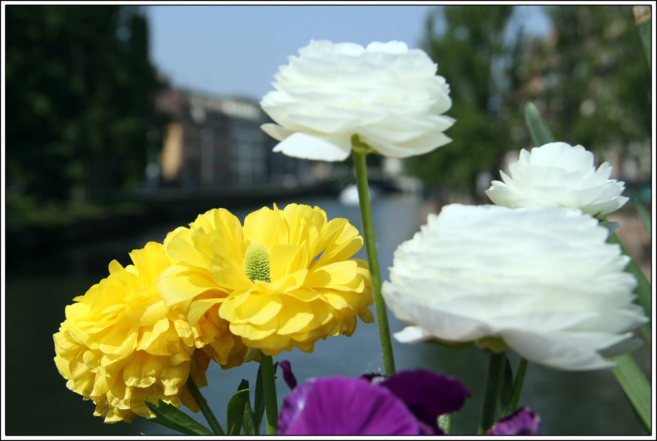 Ostern in Straßburg...