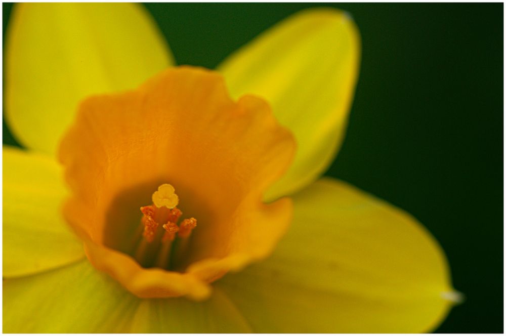 Ostern ist nicht mehr weit !