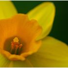 Ostern ist nicht mehr weit !