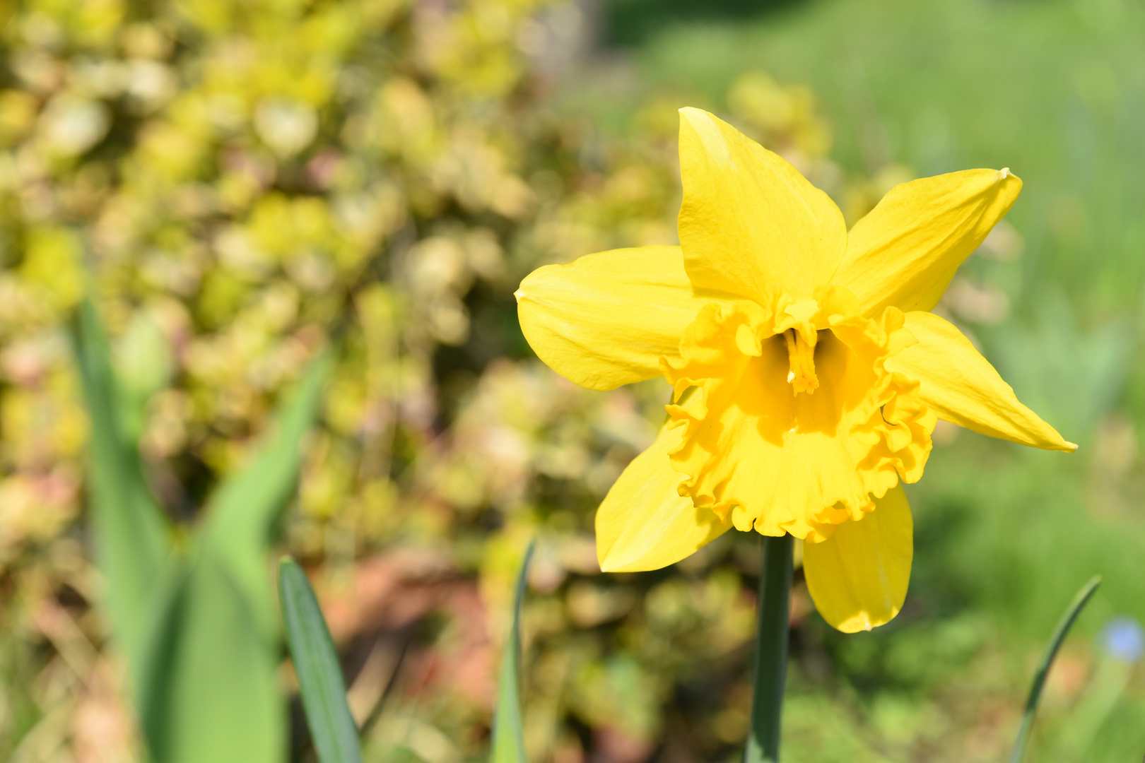 Ostern ist nicht mehr weit - Bis dahin entspannte Tage