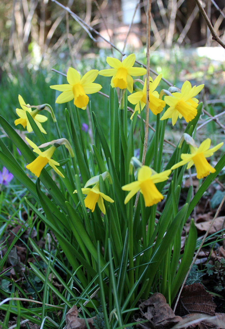 Ostern ist nicht weit 