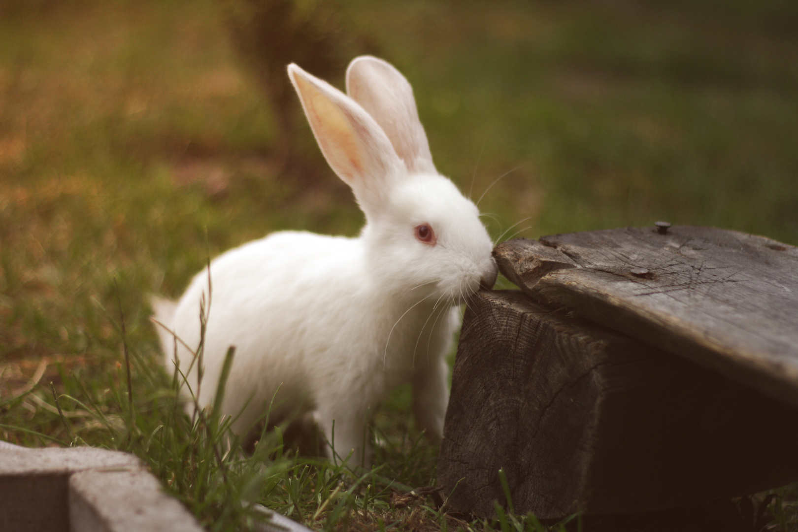 Ostern ist noch nicht vorbei...