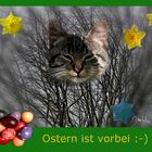  Ostern ist vorbei...