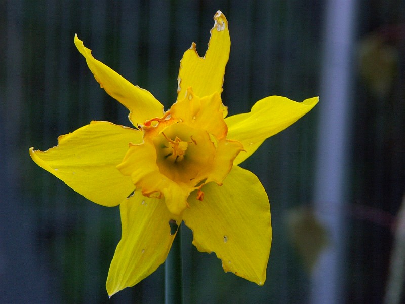 Ostern ist vorbei !