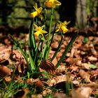 Ostern ist vorbei ...