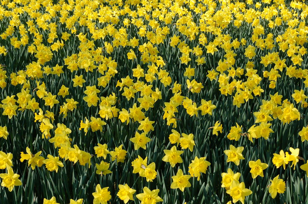 Ostern kann kommen!