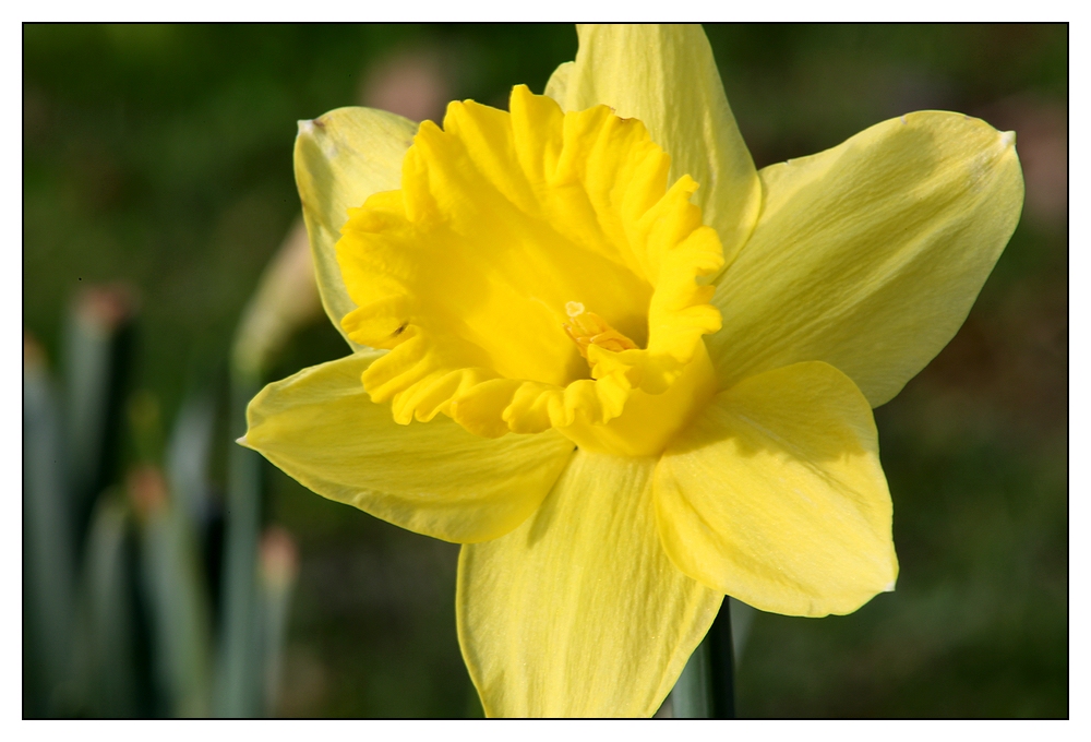 ...Ostern kann kommen ;-)