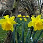 Ostern kann kommen