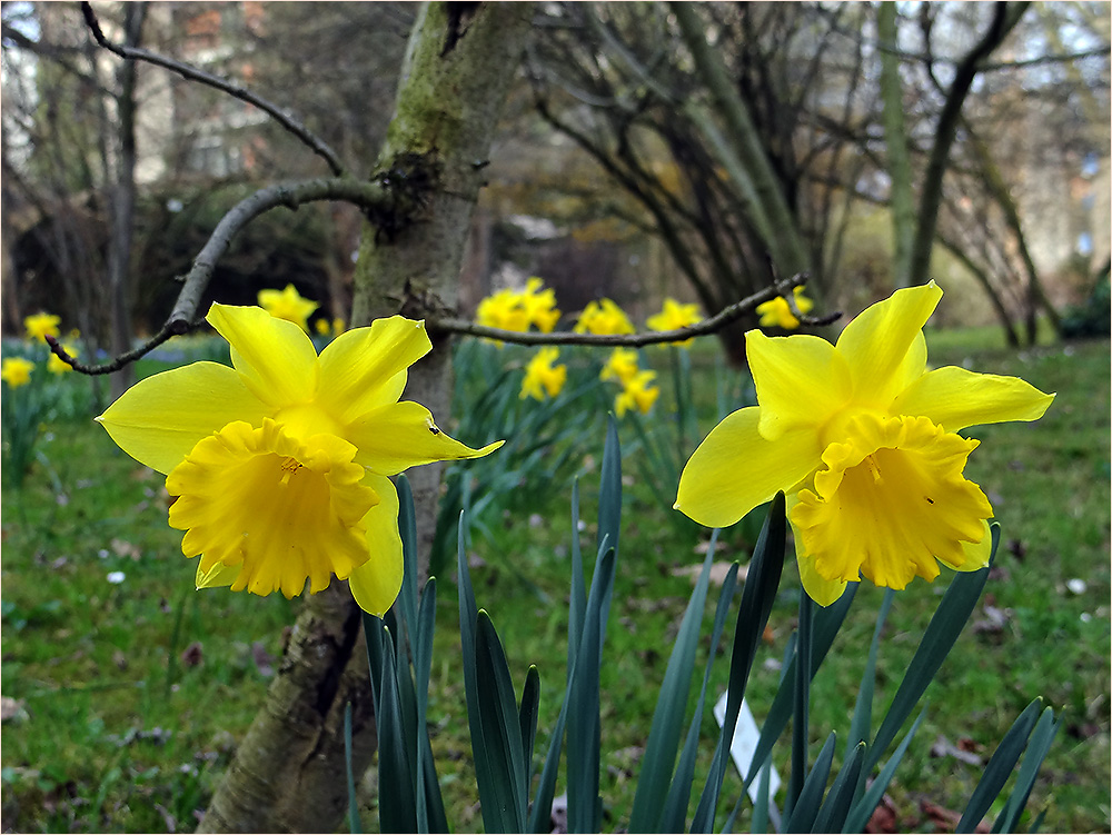 Ostern kann kommen