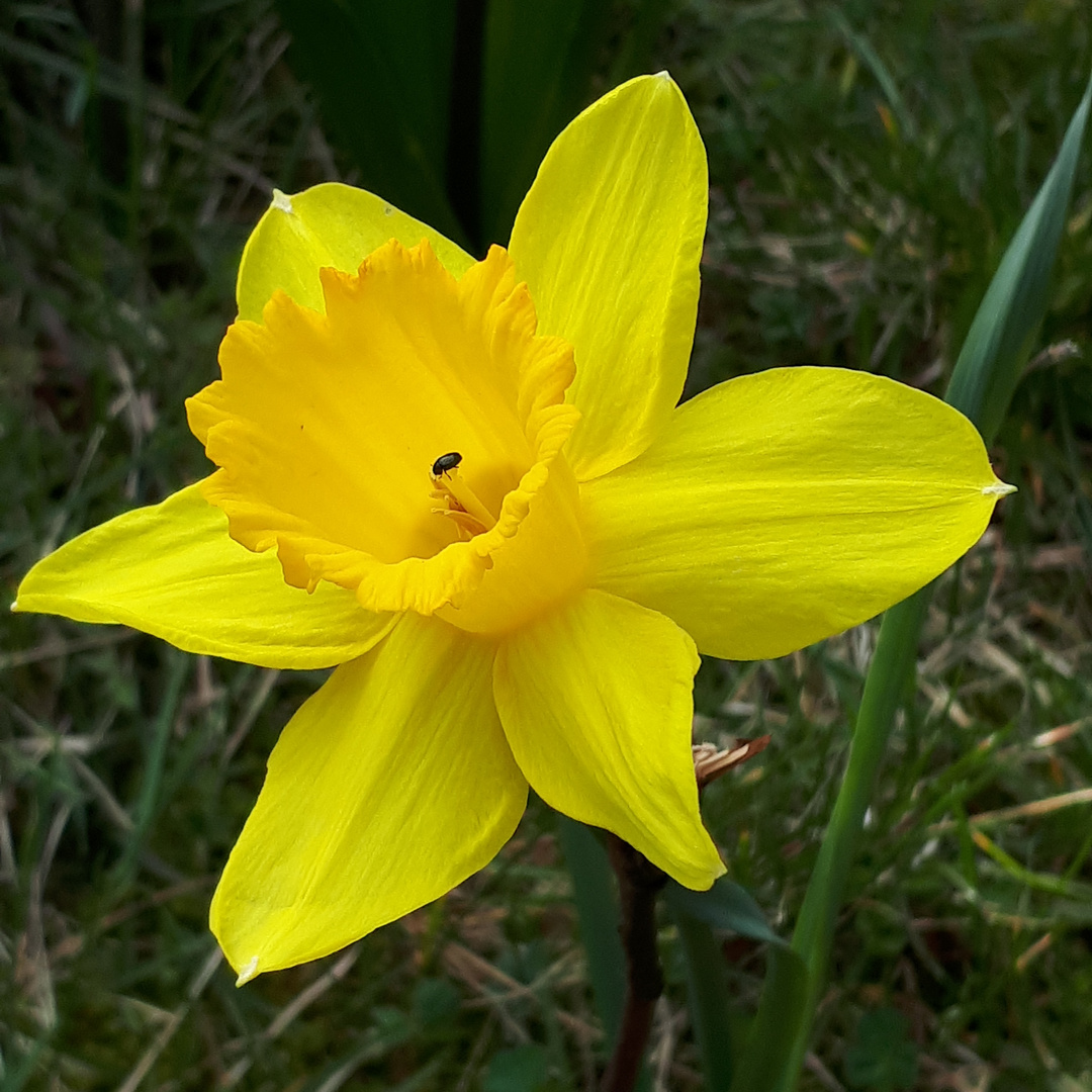 Ostern kann kommen! 