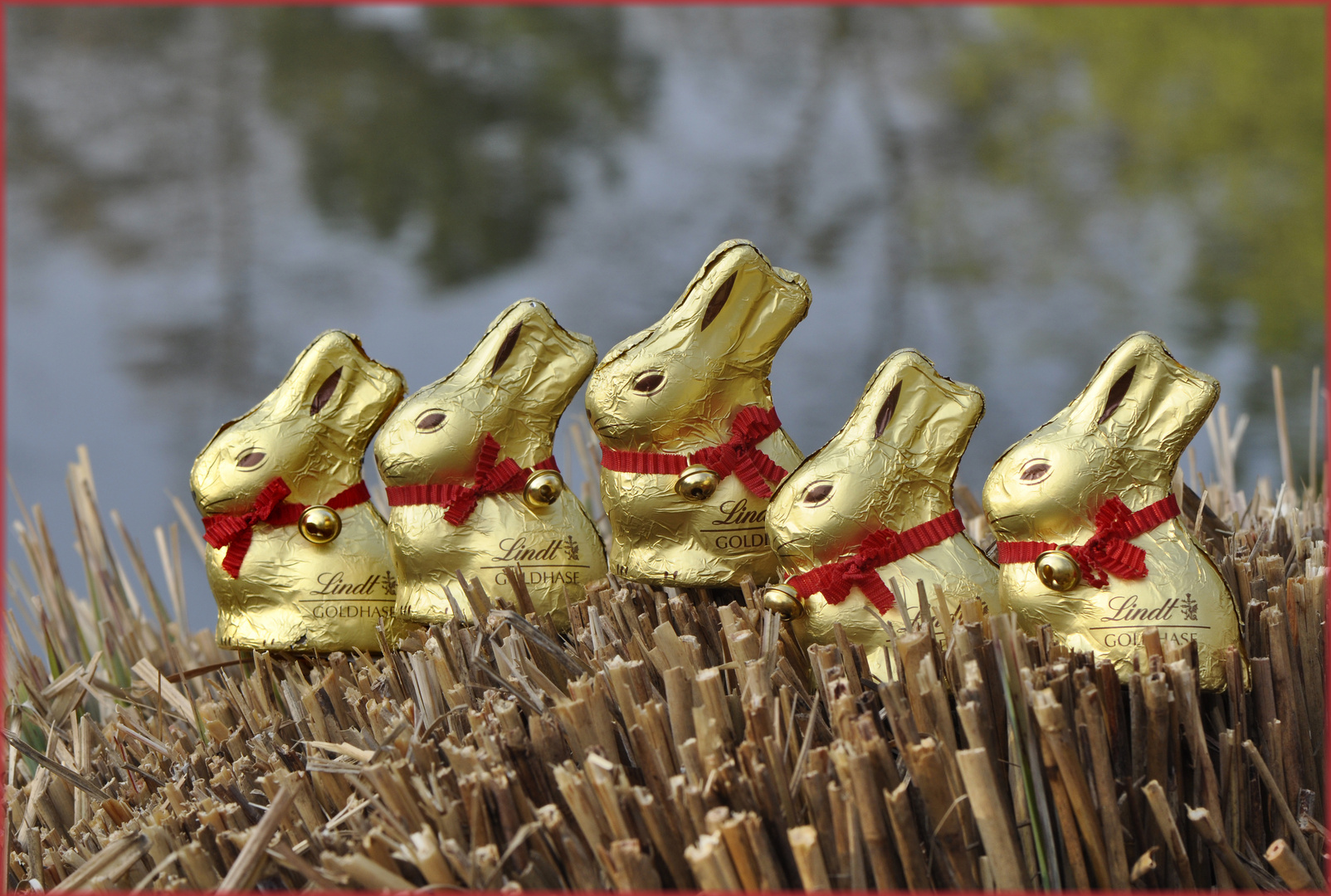 Ostern kommt bestimmt!