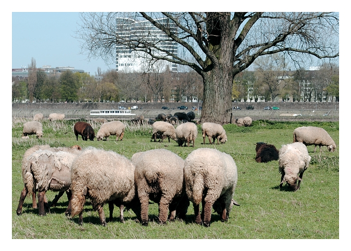 Ostern - Nein, danke!