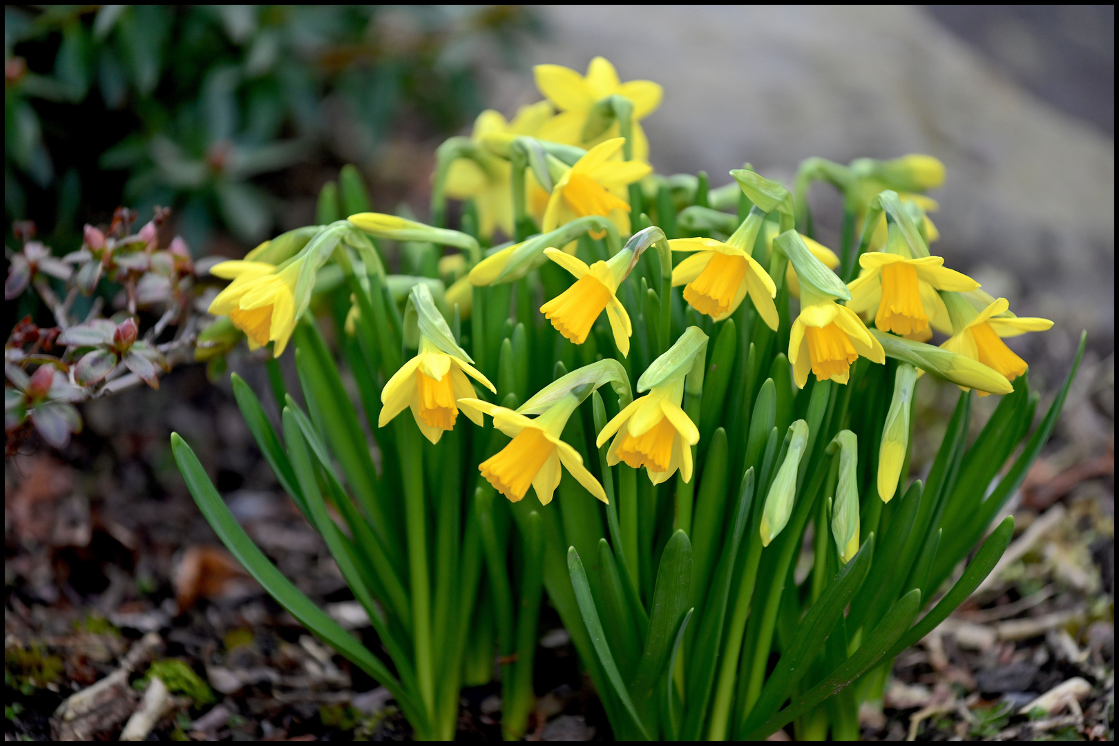 Ostern rückt näher