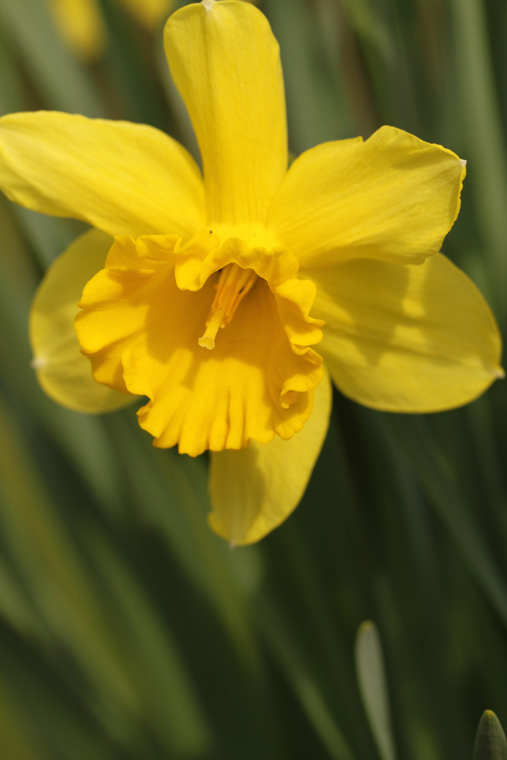 Ostern rückt näher..