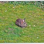 Ostern rückt sichtbar näher