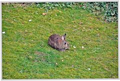 Ostern rückt sichtbar näher