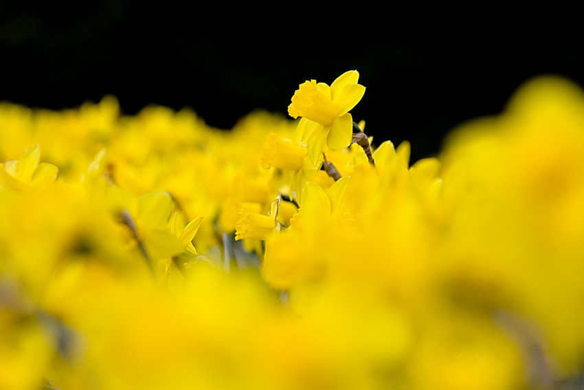 Ostern schon vorbei ?