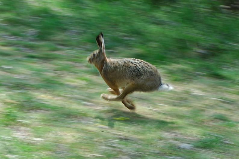 Ostern sind vorbei, uuund Tschüß...