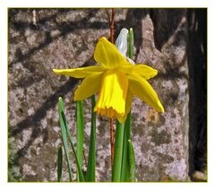 Ostern steht vor der Tür.