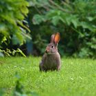 Ostern steht vor der Tür