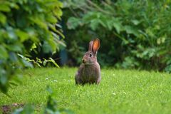 Ostern steht vor der Tür