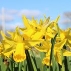 Ostern Steht vor der Tür