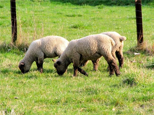 Ostern steht vor der Tür!