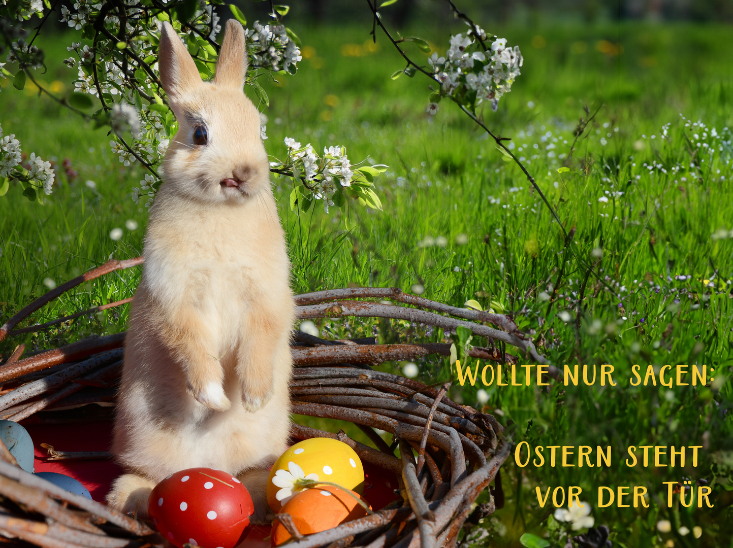 Ostern steht vor der Tür