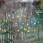 Ostern steht vor der Türe