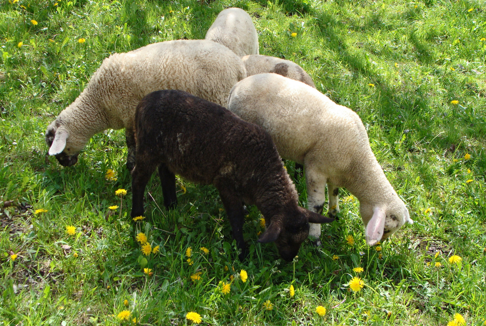 Ostern überlebt