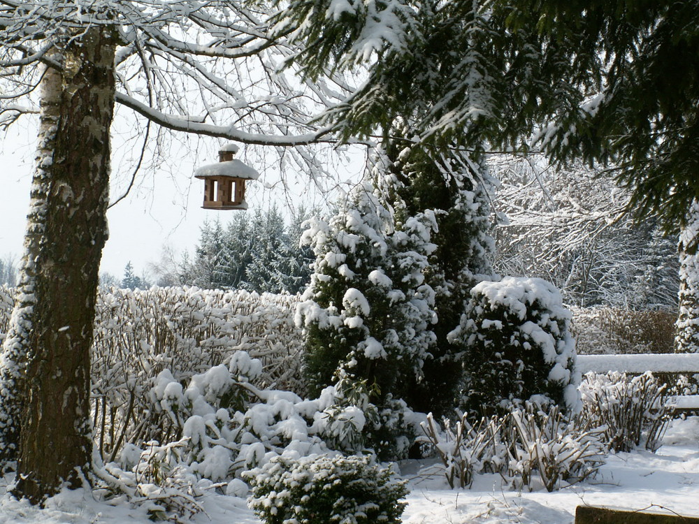 Ostern /Waldviertel 2008