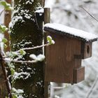 Ostern zu Haus