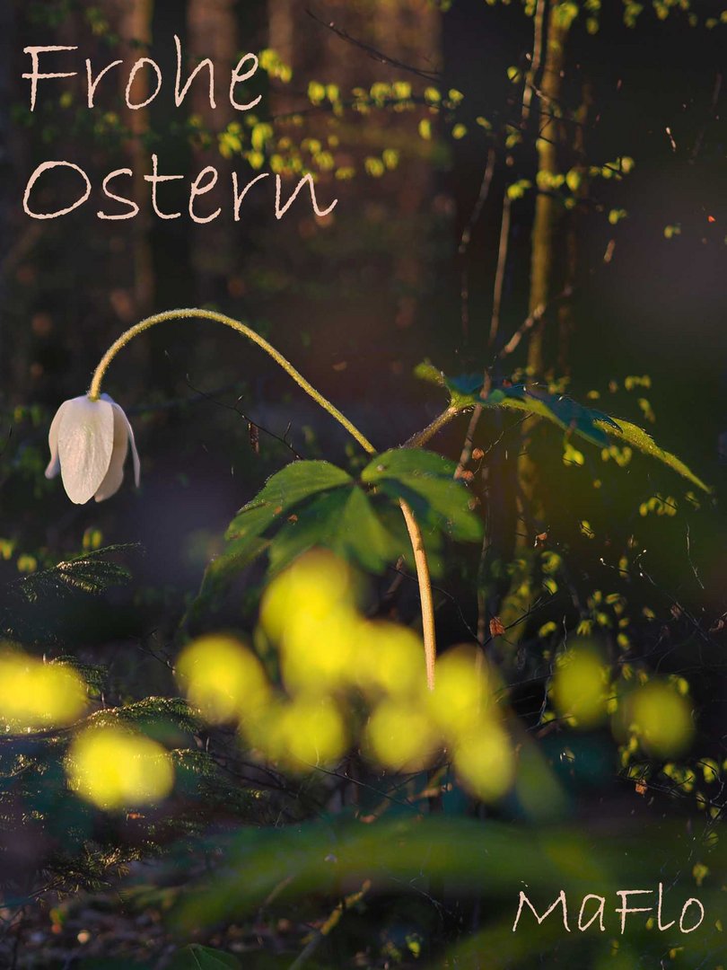 Ostern22