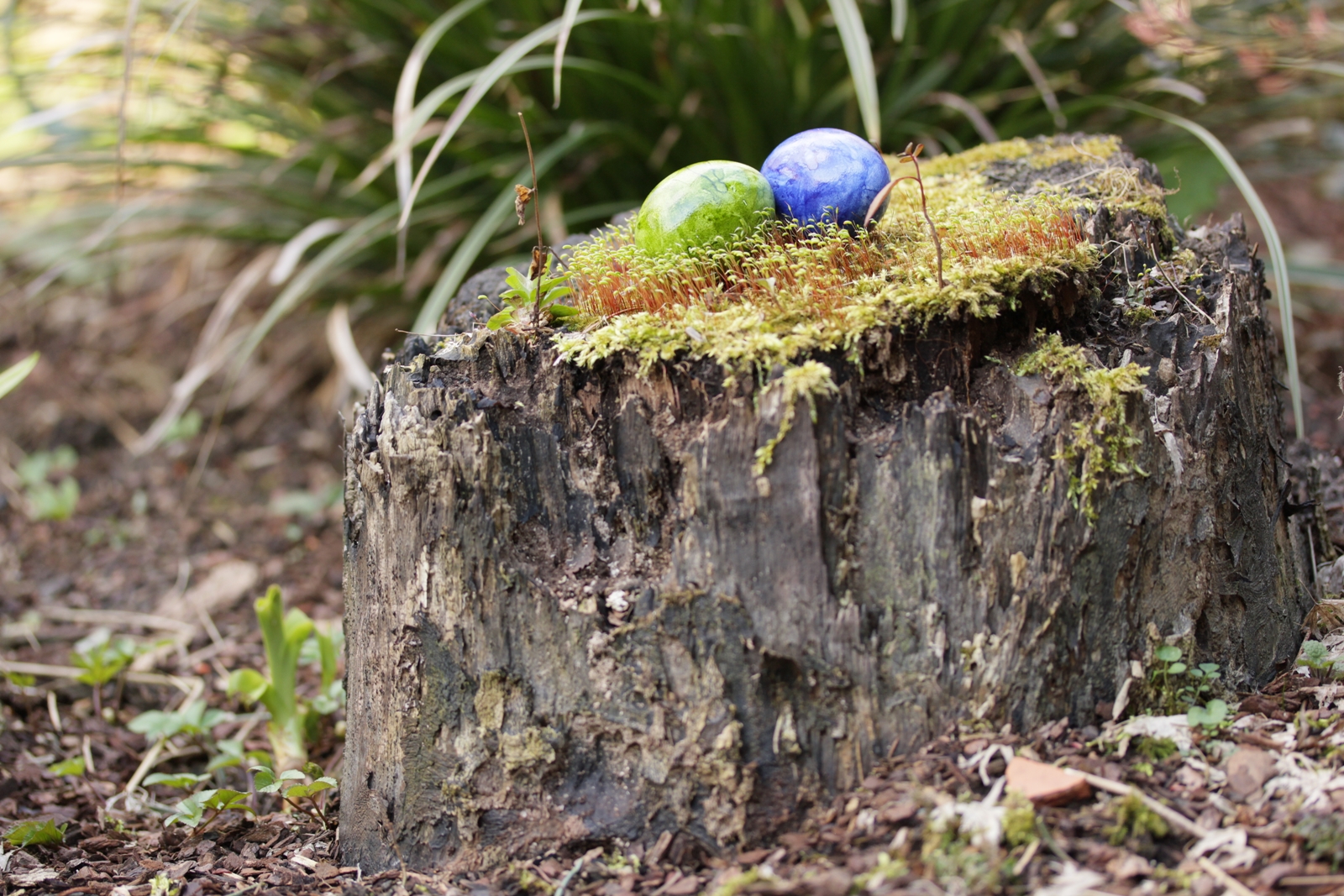 Osternest im Garten