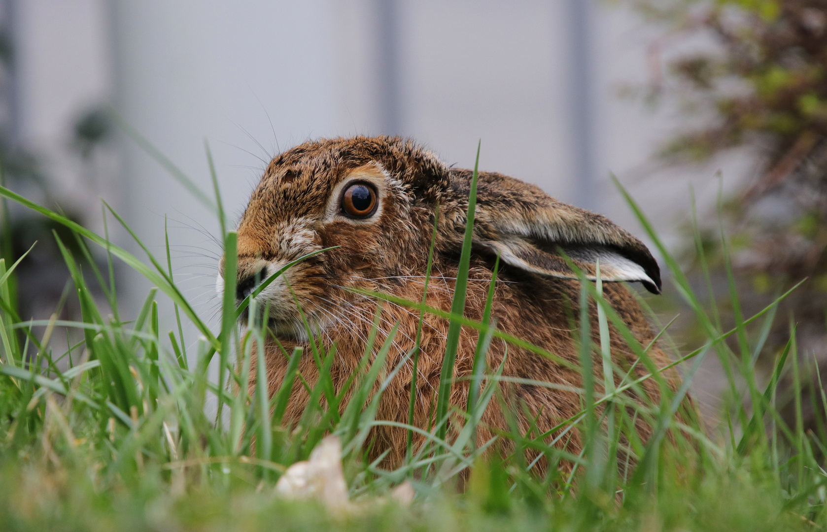 ~Osternvorbereitung~