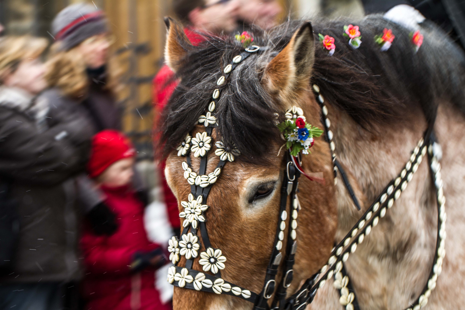 Osterreiten seit Jahrhunderten ist es Tradition