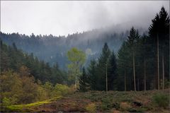 Ostersamstag im Schwarzwald